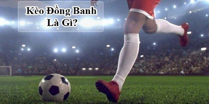 Kèo Đồng Banh - Chi Tiết Và Kinh Nghiệm Khi Cá Cược 1 Kèo hòa luôn thu hút nhiều người tham gia bởi sự đơn giản của nó