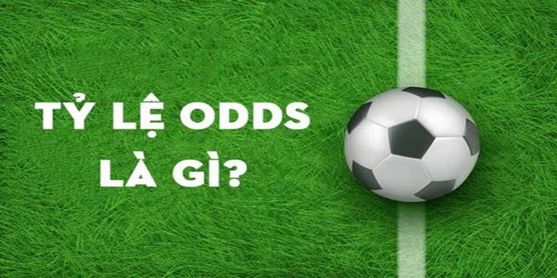 Odds Là Gì Và Những Loại Odds Cơ Bản, Phổ Biến Nhất 2025 1 Odds hay tỷ lệ Odds trong cá độ bóng đá là các thuật ngữ rất hấp dẫn