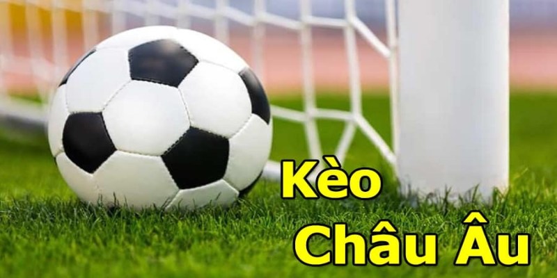 5+ Thuật Ngữ Cá Cược Bóng Đá Tiêu Biểu Bạn Cần Nên Biết 2 Thuật ngữ cá cược bóng đá kèo Châu Âu hiện nay