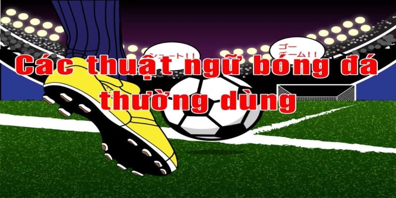5+ Thuật Ngữ Cá Cược Bóng Đá Tiêu Biểu Bạn Cần Nên Biết 1 Thuật ngữ cá độ thể thao sân cỏ cơ bản