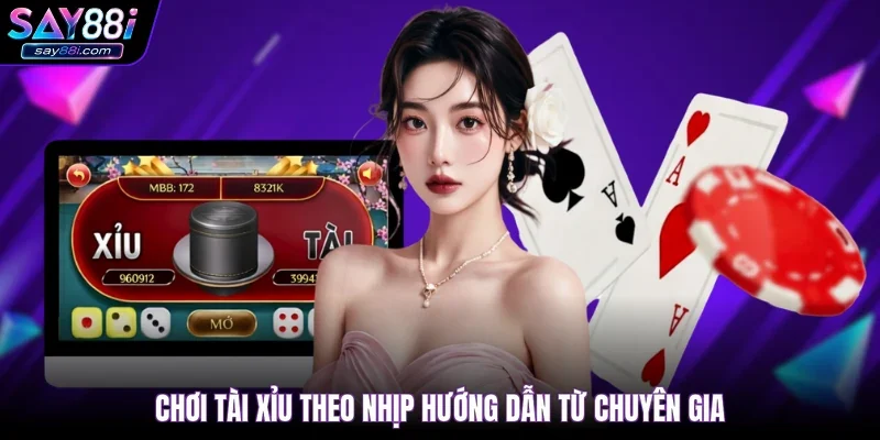 Chơi tài xỉu theo nhịp hướng dẫn từ chuyên gia